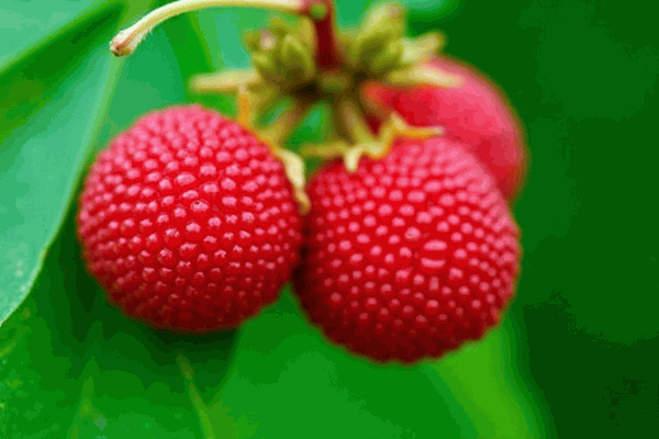 ÷