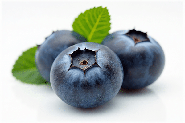 {ݮ