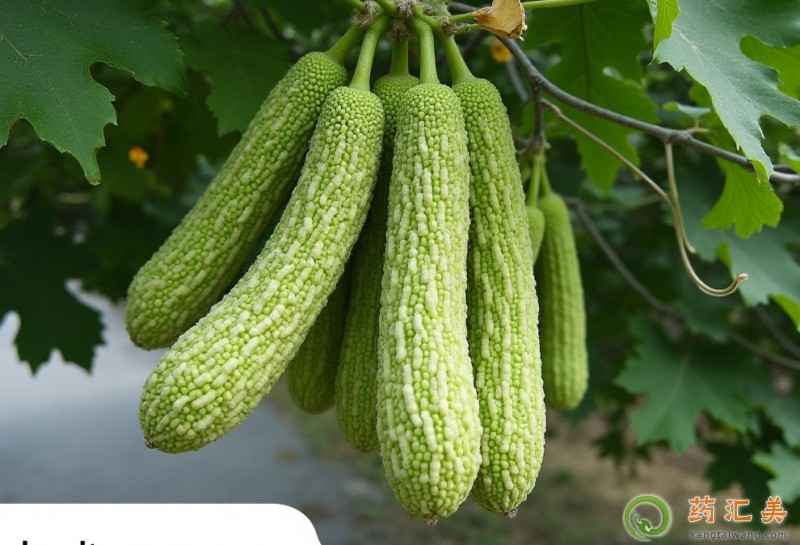 Կʲô̎