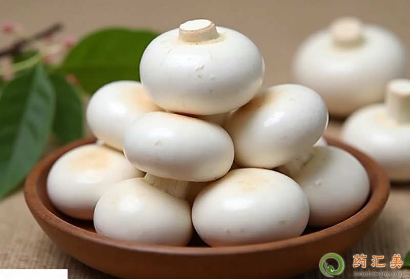 đY(ji)ʯܳԿĢ