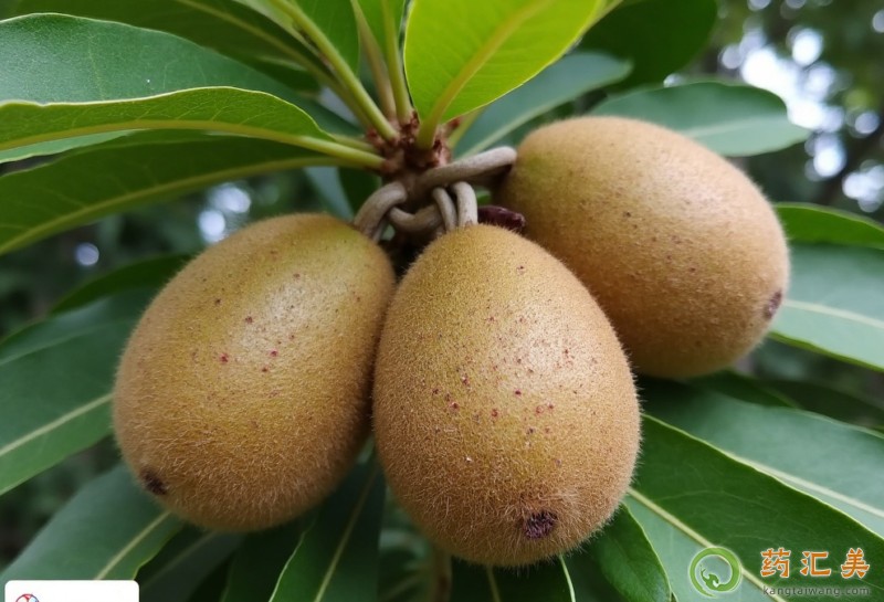 ܳĹ