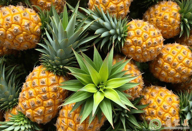Pǔˮ